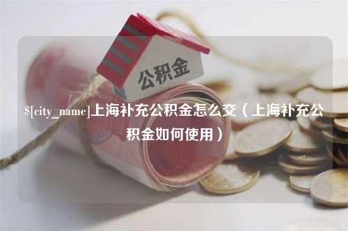 阜阳上海补充公积金怎么交（上海补充公积金如何使用）